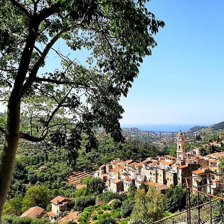 Casa Vita Daire Vallebona Dış mekan fotoğraf