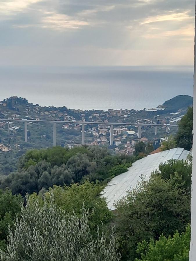 Casa Vita Daire Vallebona Dış mekan fotoğraf