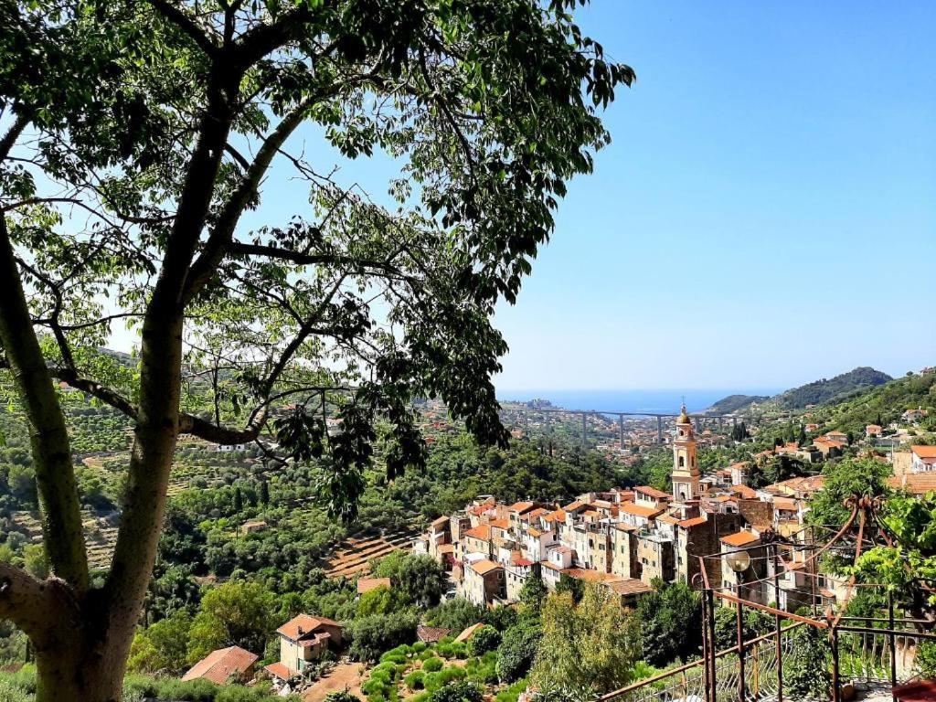 Casa Vita Daire Vallebona Dış mekan fotoğraf